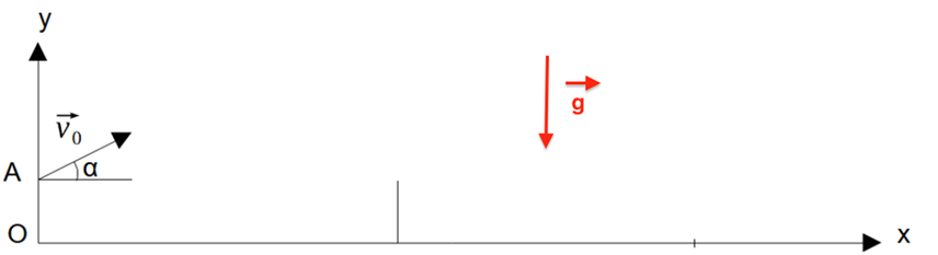 De la force à l'équation de la trajectoire Vecteur Bac