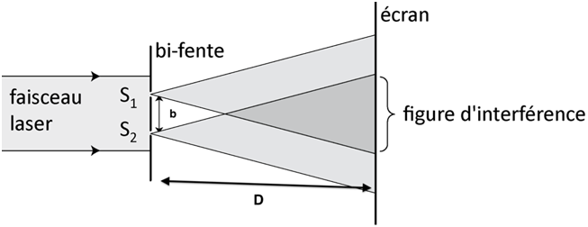 Fentes d’Young : Interférences ondes lumineuses – Vecteur Bac